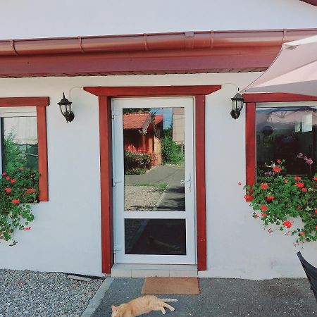 Confort Inn Otopeni Bagian luar foto